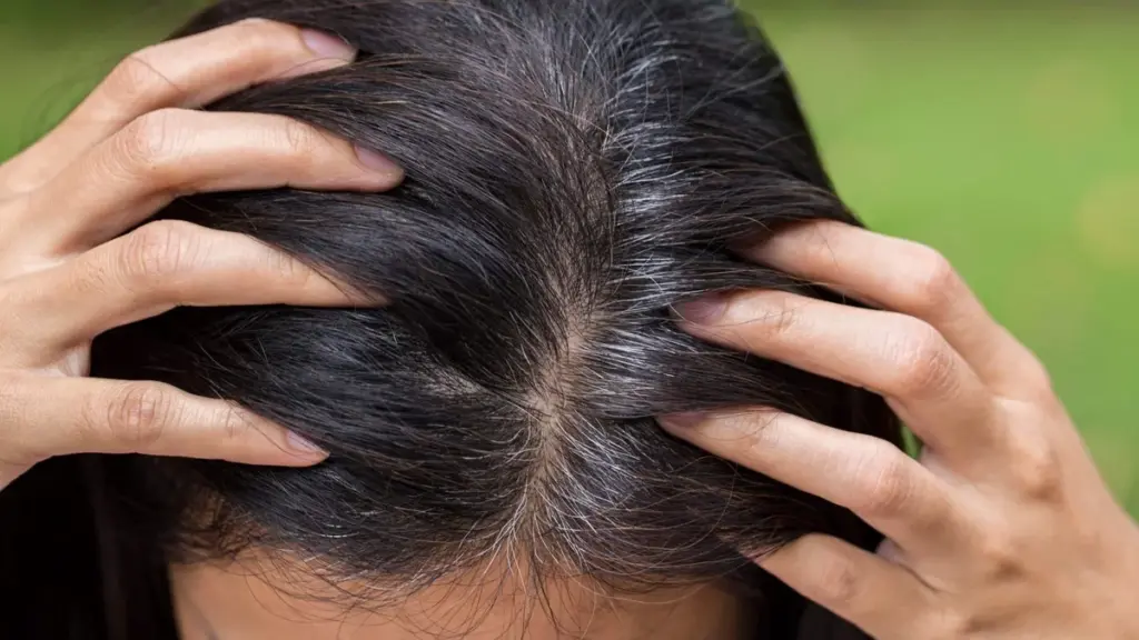 Frisuren ab 50: Reverse Coloring, die Technik für jüngeres Aussehen bei grauem Haar ohne Ansatz